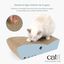 Rascador Zoo 2 en 1 en forma de Oso polar para gatos color Blanco, , large indicador imagen numero 4