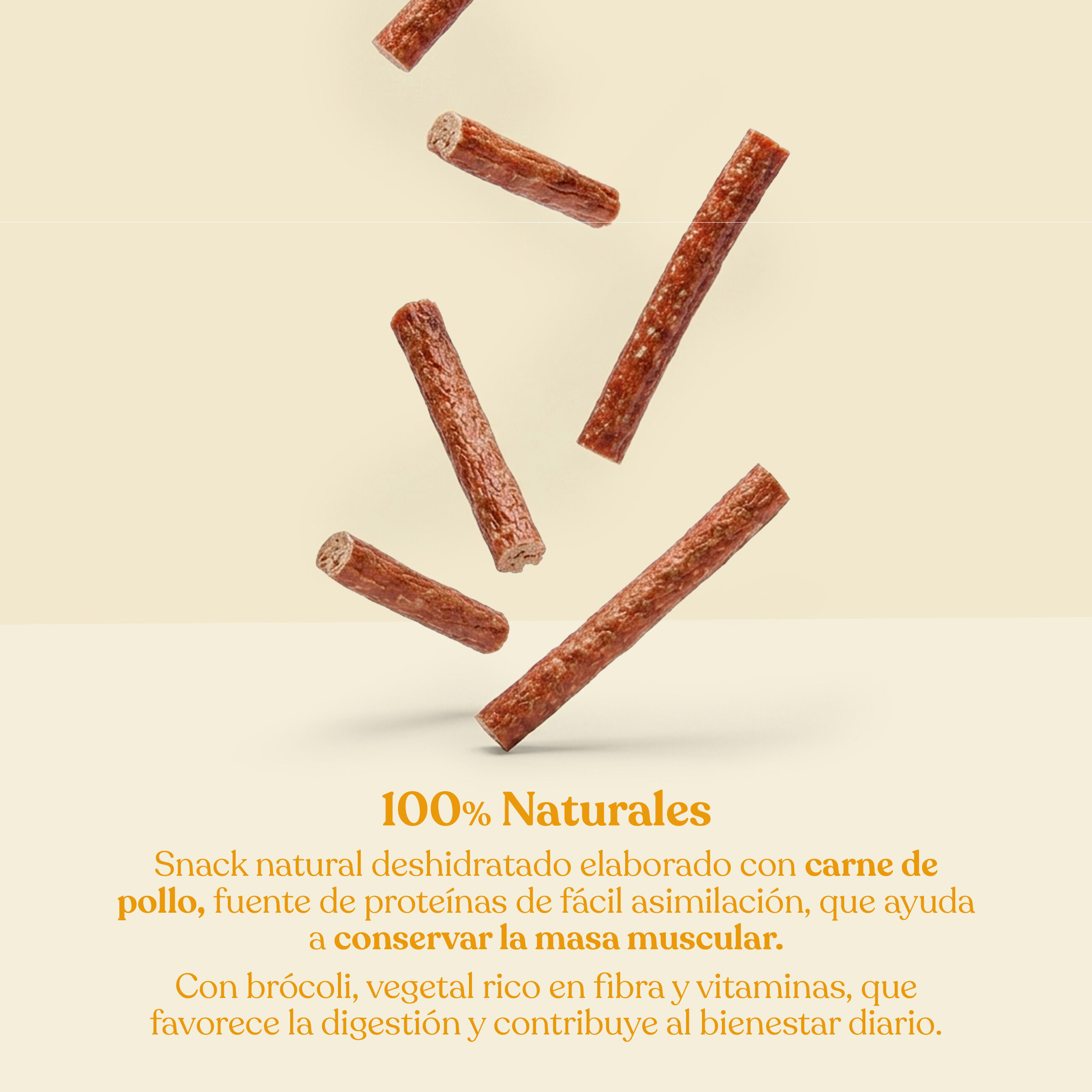 dr.bimix Barritas de Pollo con Br&oacute;coli para Perros | Snack Natural Premium, , large Imagen numero 2
