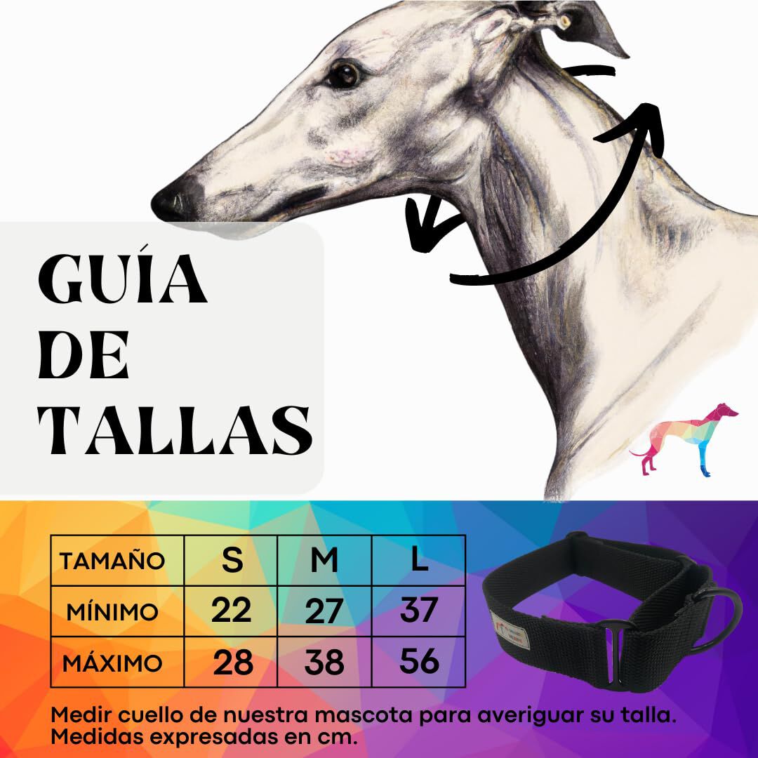 EGV - Collar Martingale. Collar galgo hecho a mano en Espa&ntilde;a (Negro), , large Imagen numero 3