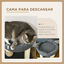 PawHut Árbol Rascador para Gatos Pequeño Torre para Gatos Centro de Actividades para Gatitos con Nido 4 Bolas y Poste de Sisal Carga 15 kg Ø40x48 cm Gris y Beige, , large indicador imagen numero 5