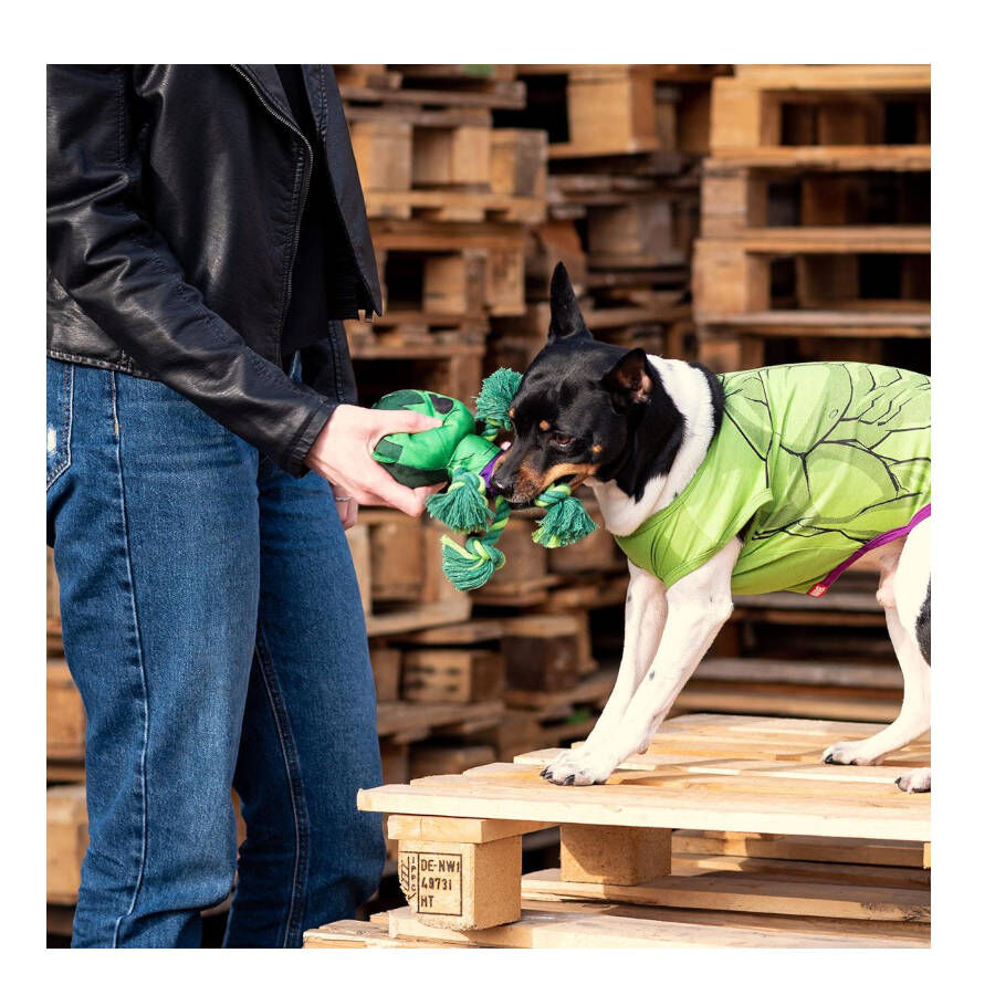 Disney Marvel Hulk de Peluche con Cuerda para perros, , large Imagen numero 4