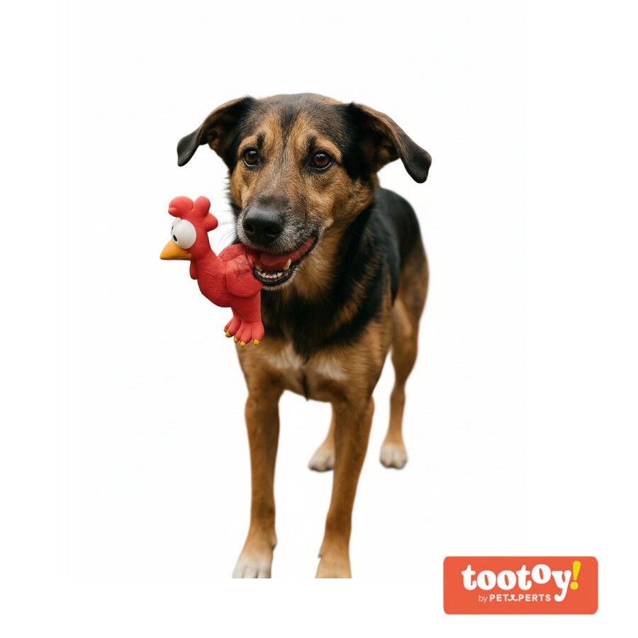 Tootoy! Mordedor con Sonido Gallina para perros, , large Imagen numero 8