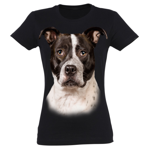 Camiseta Mujer Pitbull color Negro, , large Imagen numero 1