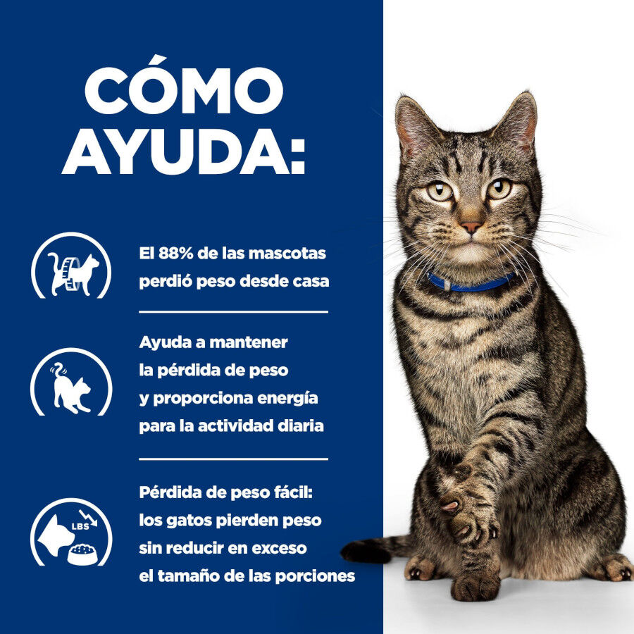 3 kg Hill's Prescription Diet Metabolic At&uacute;n pienso para gatos, , large Imagen numero 4
