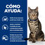 3 kg Hill's Prescription Diet Metabolic At&uacute;n pienso para gatos, , large indicador imagen numero 4