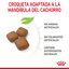 15 kg Royal Canin Junior Giant pienso para perros, , large indicador imagen numero 4