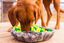 Alfombra Olfativa para Perros WufSalad &ndash; Juguete de Estimulaci&oacute;n Mental, Comedero Lento y Antiestr&eacute;s, , large indicador imagen numero 2