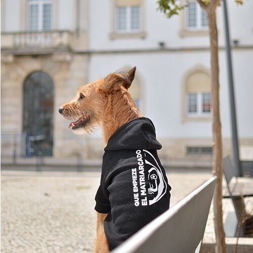 Jersey La Casa de Papel Matriarcado para perros, , large Imagen numero 2