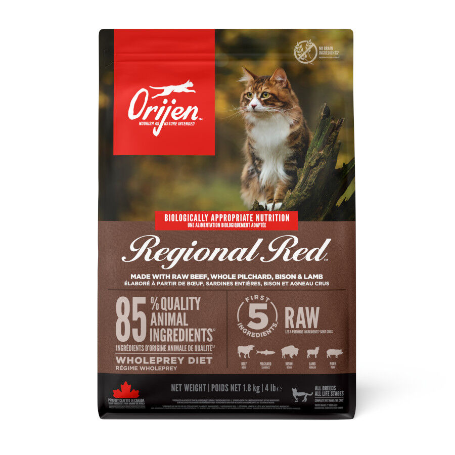 Orijen Regional Red pienso para gatos y gatitos