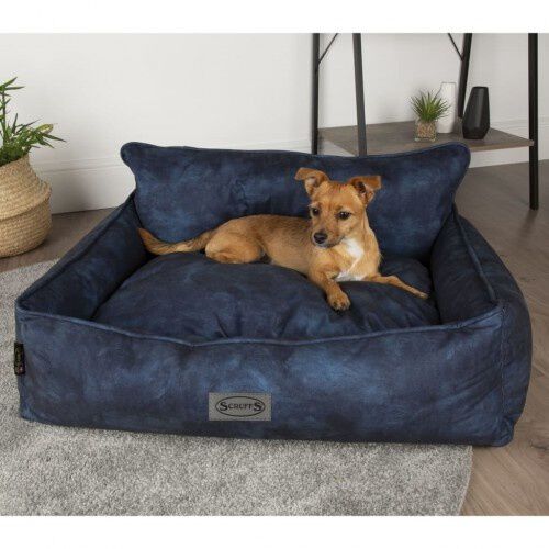 Cama para perros color Azul, , large Imagen numero 4