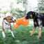 Kong Tuggz Monkey XL Juguete para perros, , large indicador imagen numero 2