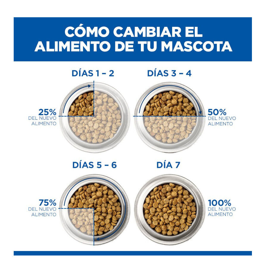 18 kg Hill's Science Plan Adult Large Pollo pienso para perros, , large Imagen numero 11