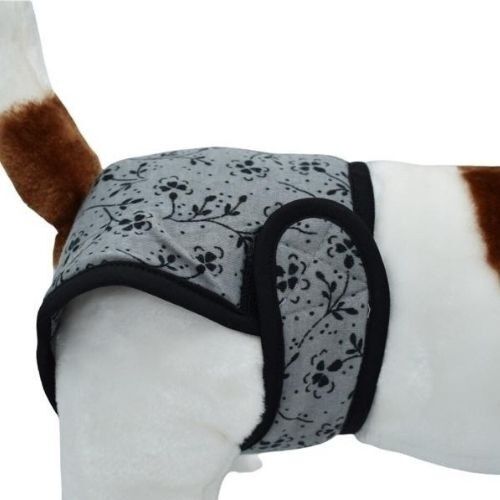 Loyal braguitas celo gris para perros, , large Imagen numero 1