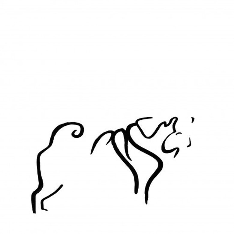 Ilustración de carlino sin marco color Blanco, , large image number null