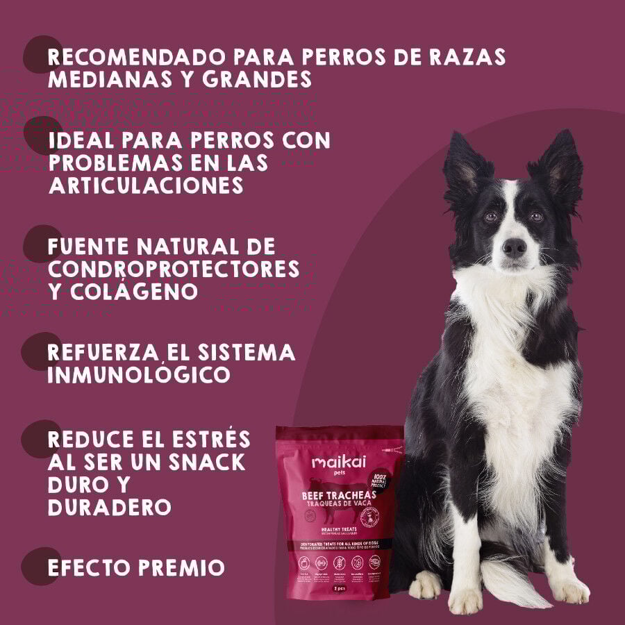 Tr&aacute;queas de ternera deshidratadas. Chuches para perros 100% Natural. MAIKAI PETS. 2 UDS., , large Imagen numero 4