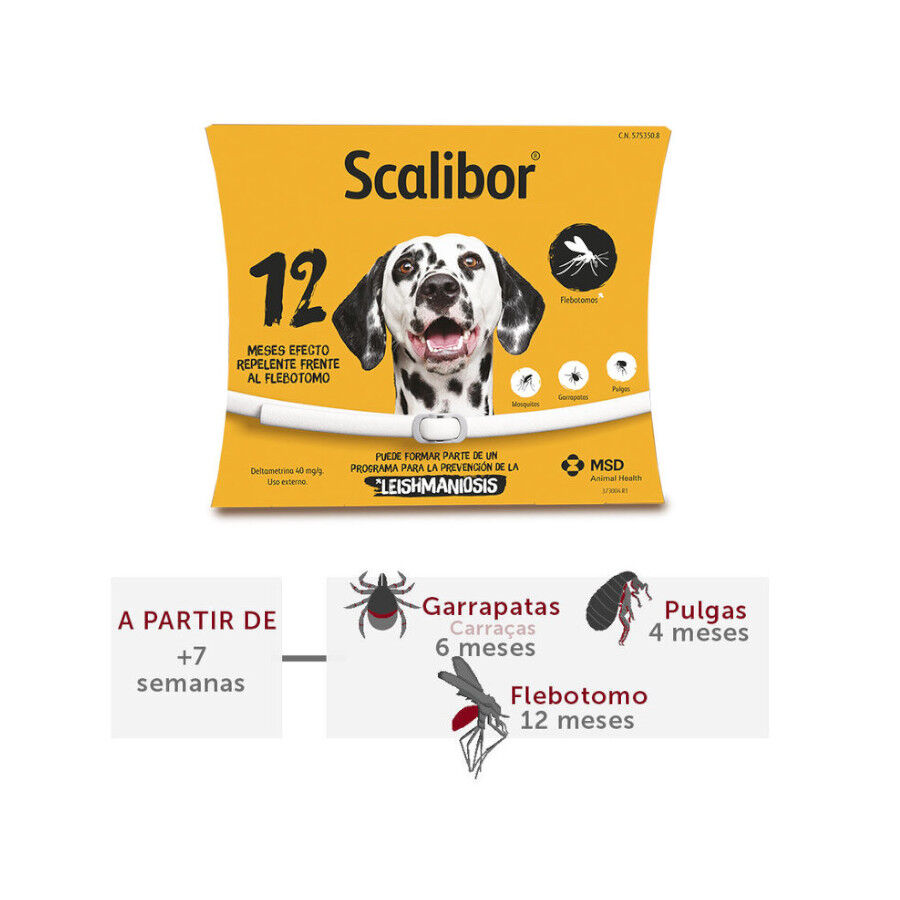 2 collares x 48 cm Scalibor Collar Antiparasitario para perros - Pack, , large Imagen numero 2