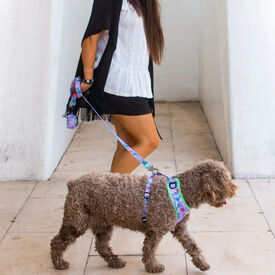 Dukier Correa Estampado Alien para perros