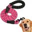 Edipets correa de adiestramiento con mango acolchado rosa para perros, , large indicador imagen numero 1