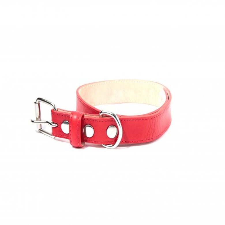 Loyal collar rocco rojo para perros, , large image number null