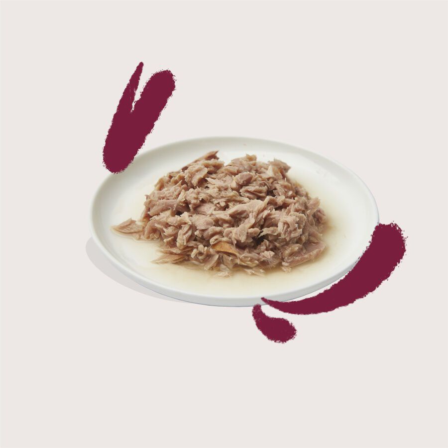 70 g Edgard & Cooper Filetes de At&uacute;n y Pollo lata para gatos, , large Imagen numero 4