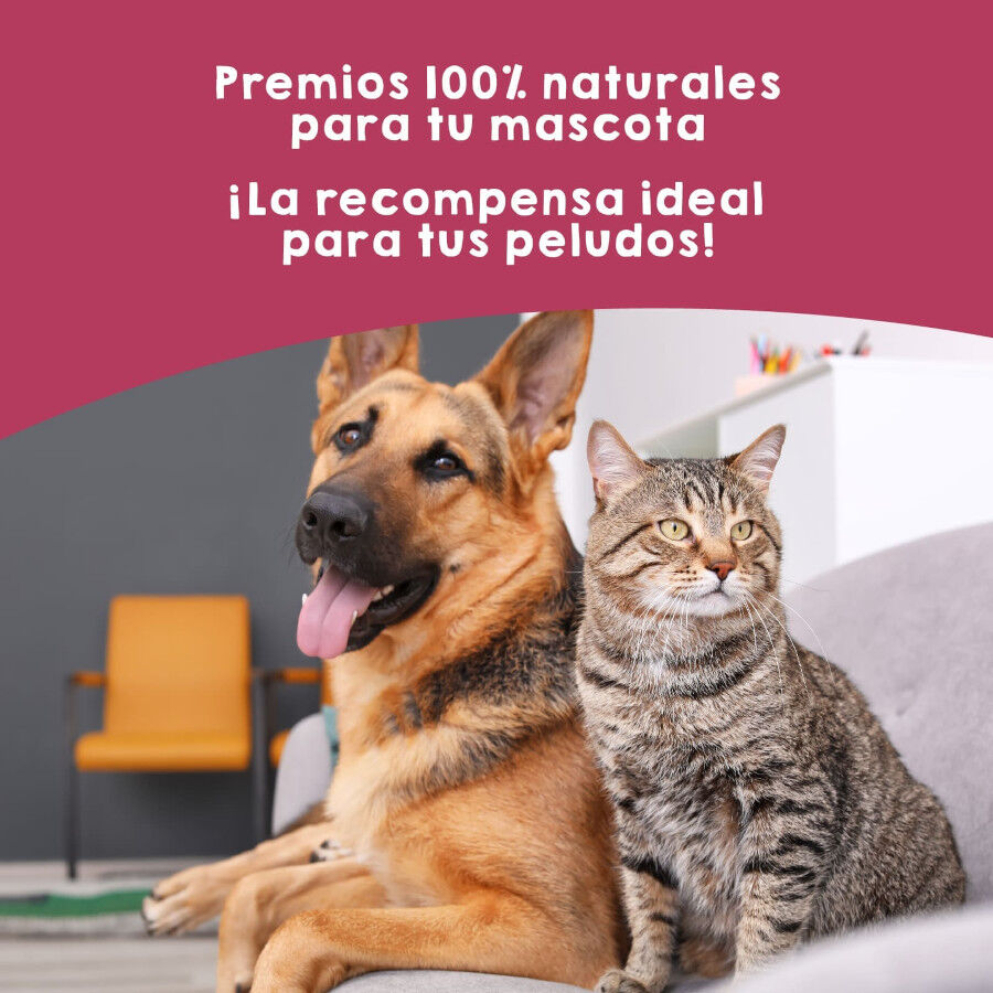 Higaditos de Ternera deshidratados. 100g. Chuches para perros y gatos. 100% Natural. MAIKAI PETS., , large Imagen numero 5