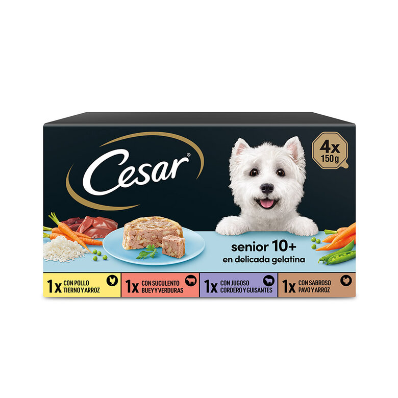 administración Te mejorarás Jugando ajedrez Cesar Carnes Mixtas Tarrina en Gelatina para Perros Senior - Multipack |  Tiendanimal