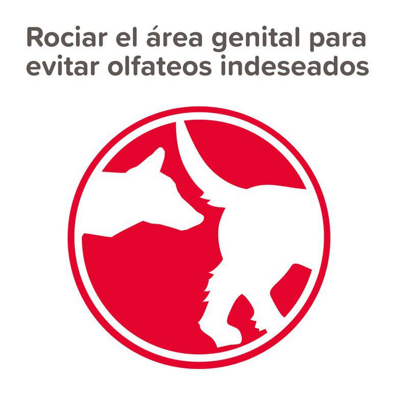 Beaphar Spray Anticelo para perros hembras2 Imagen numero 2