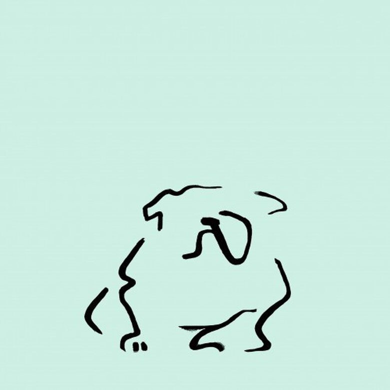 Ilustración de Bulldog sin marco color Mint, , large image number null