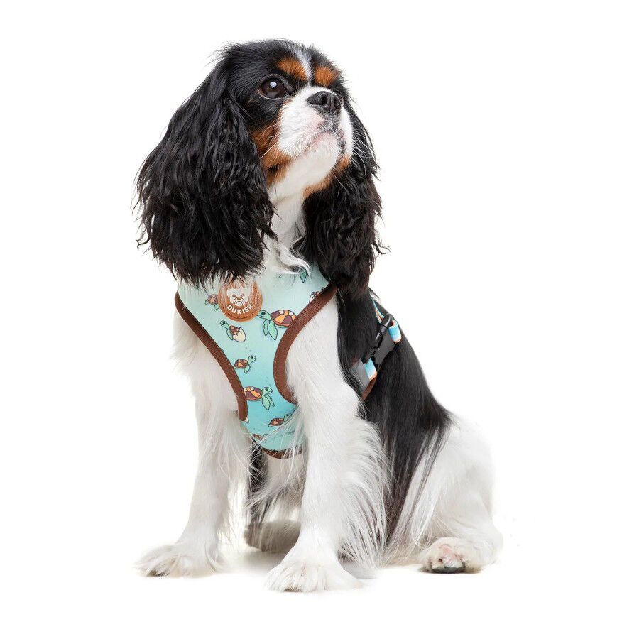 Dukier Arnés Reversible Estampado Tortugas para perros thumbnail