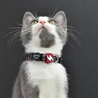 Collar La Casa de Papel Melted para gatos, , large image number null