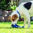 Rogz flossy juguete de peluche flexible azul para perros, , large image number null