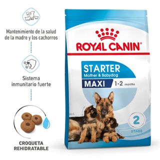 Royal Canin Starter MotheryBaby Maxi pienso para perros