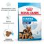 15 kg Royal Canin Starter MotheryBaby Maxi pienso para perros, , large indicador imagen numero 2