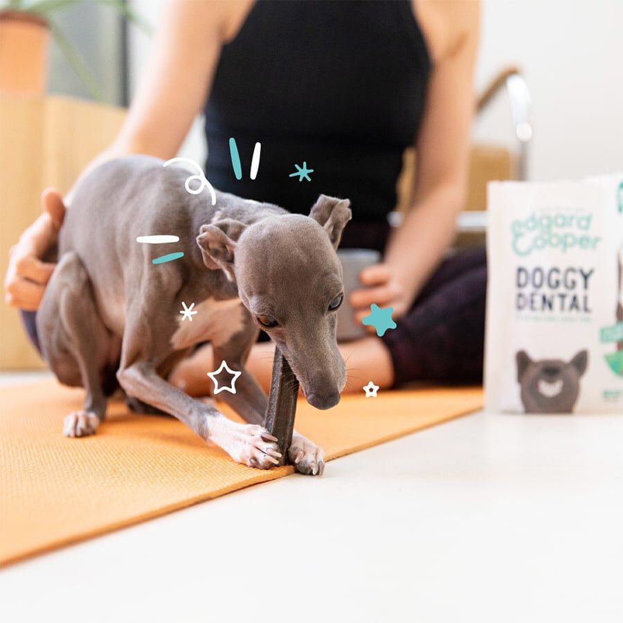 Edgard &amp; Cooper Barritas Dentales Fresa y Menta snack para perros grandes thumbnail