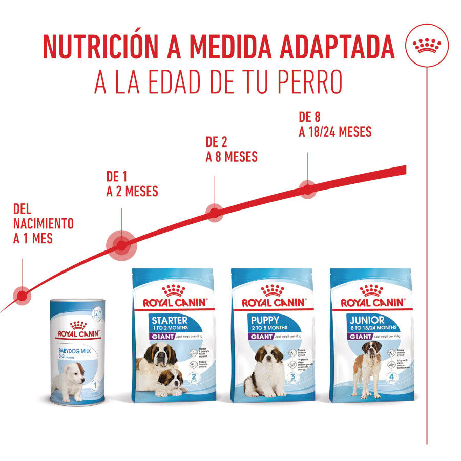 15 kg Royal Canin Starter Puppy Giant Pienso para perros, , large Imagen numero 7