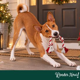 Wonder Christmas Cuerda Forma Caramelo Juguete para perros