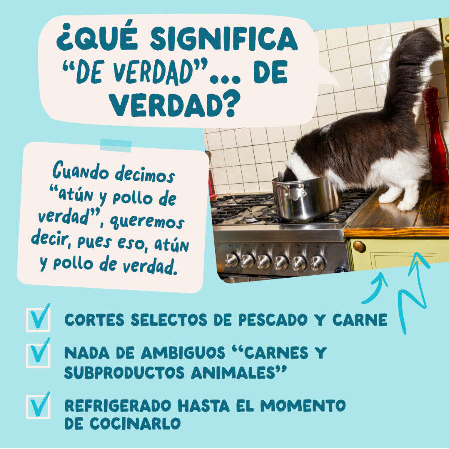 85 g Edgard & Cooper At&uacute;n y Pollo sobre en salsa para gatos, , large Imagen numero 5