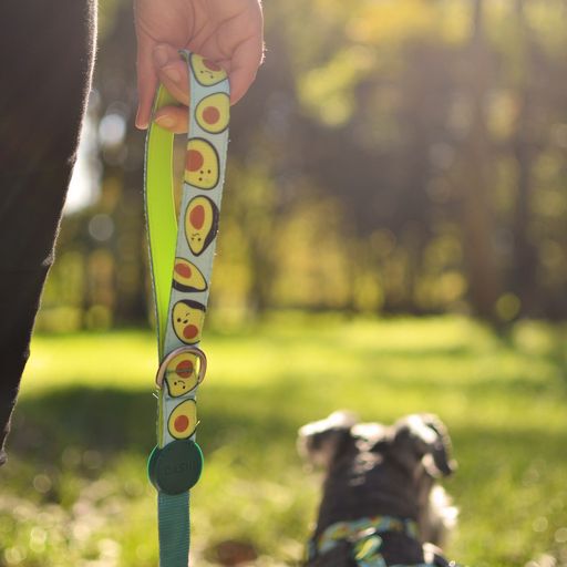 Dashi avocado correa de poli&eacute;ster multicolor para perros, , large Imagen numero 2