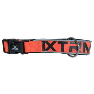 X-TRM Neon Flash Collar Naranja para perros