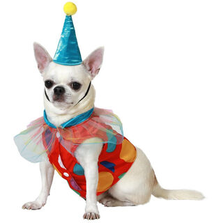 Atosa Disfraz  Payaso con Gorrito para perros