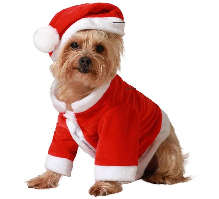 Disfraz de Pap&aacute; Noel cl&aacute;sico rojo para perro, , large Imagen numero 1