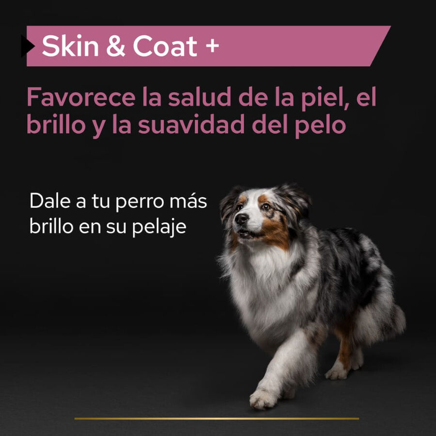 Pro Plan Skin &amp; Coat Suplemento en Aceite para perros thumbnail