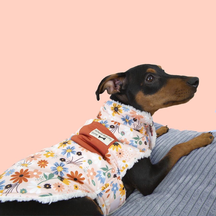 Outech Spring abrigo de flores para perros thumbnail