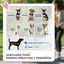 PawHut Cochecito para Mascotas Negro, , large indicador imagen numero 4