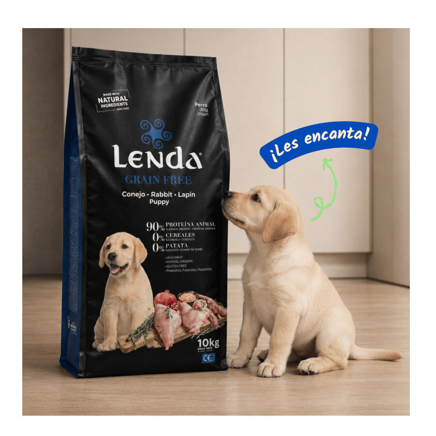 2 Kg Lenda Grain Free Conejo puppy pienso para perros, , large Imagen numero 5