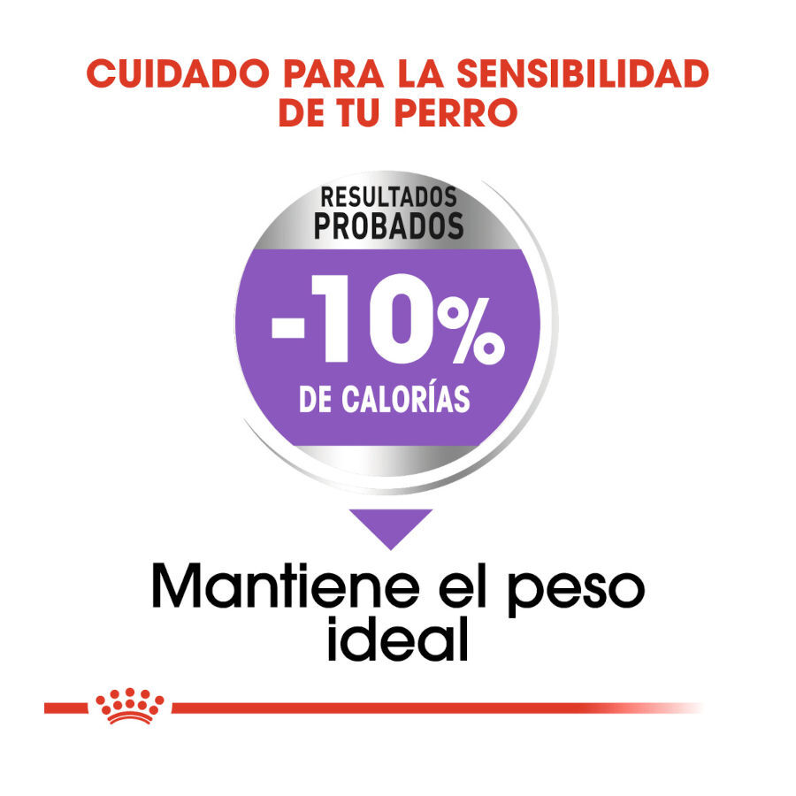 Royal Canin Sterilised Medium pienso para perros thumbnail