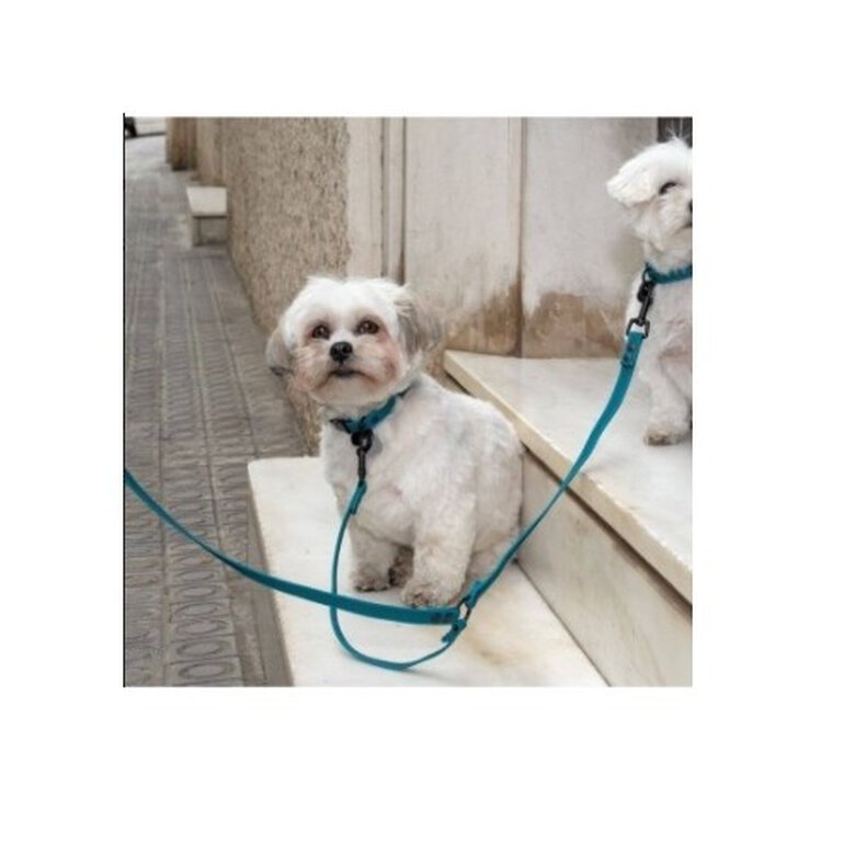 Correa doble para perros Groc Groc Lucky color Azul, , large image number null