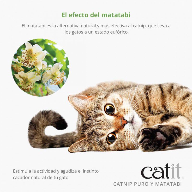 Catit Hojas y matabi seco interactivo para gatos thumbnail