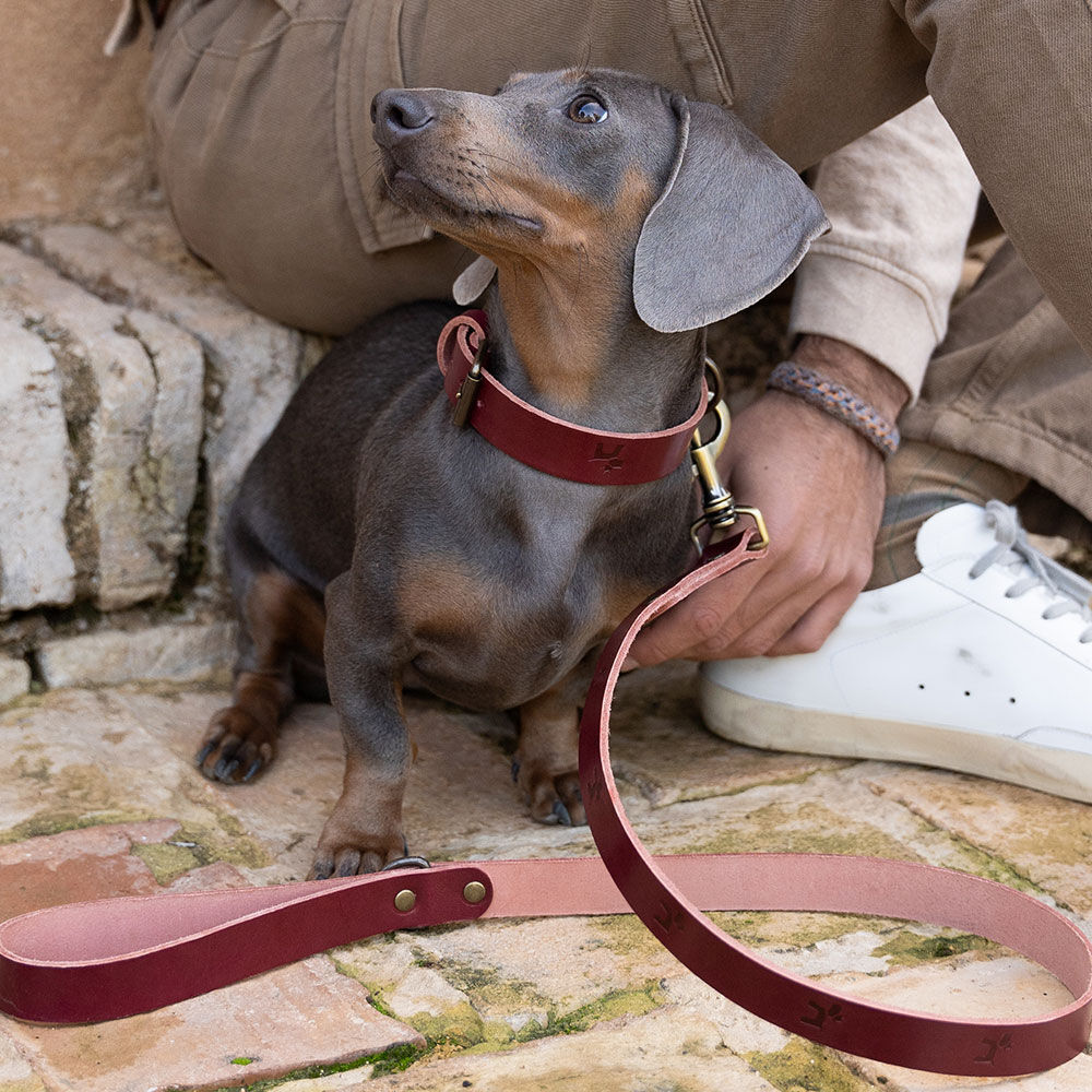 Ladran Gaucho Correa cereza de cuero premium para perros, , large Imagen numero 2