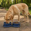 Gotoo Comedero Port&aacute;til Doble de Silicona Azul para perros, , large indicador imagen numero 1